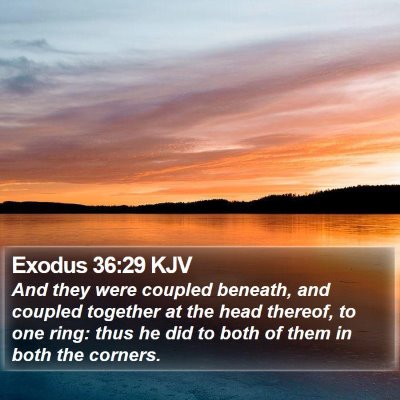 Exodus 36:29 KJV Bible Verse Image