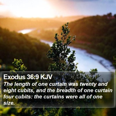 Exodus 36:9 KJV Bible Verse Image