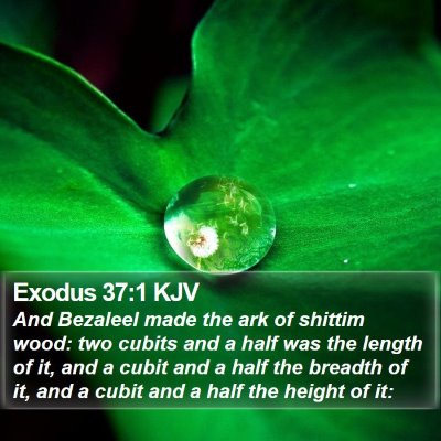 Exodus 37:1 KJV Bible Verse Image