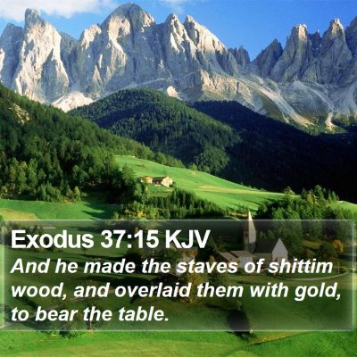 Exodus 37:15 KJV Bible Verse Image