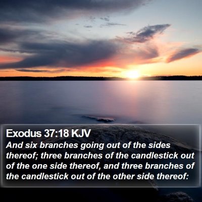 Exodus 37:18 KJV Bible Verse Image