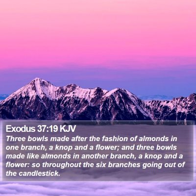 Exodus 37:19 KJV Bible Verse Image