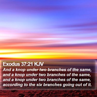 Exodus 37:21 KJV Bible Verse Image