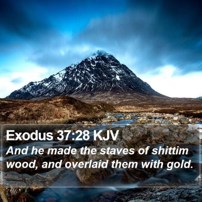 Exodus 37:28 KJV Bible Verse Image