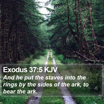 Exodus 37:5 KJV Bible Verse Image