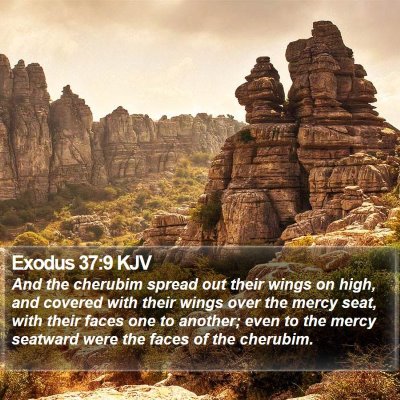 Exodus 37:9 KJV Bible Verse Image