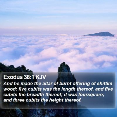 Exodus 38:1 KJV Bible Verse Image