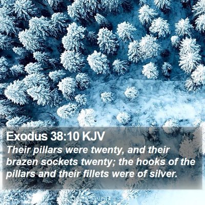 Exodus 38:10 KJV Bible Verse Image