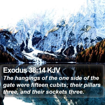 Exodus 38:14 KJV Bible Verse Image