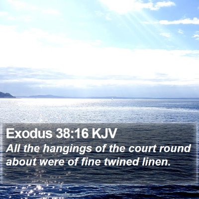 Exodus 38:16 KJV Bible Verse Image