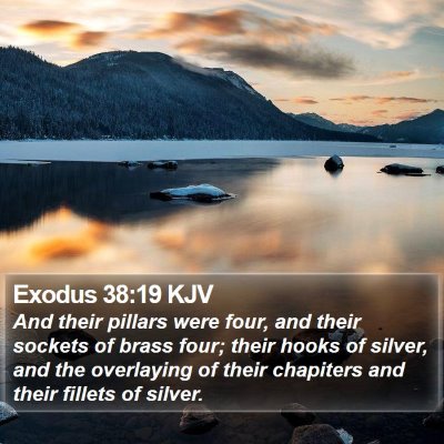 Exodus 38:19 KJV Bible Verse Image