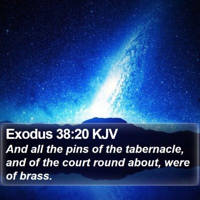Exodus 38:20 KJV Bible Verse Image