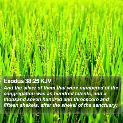Exodus 38:25 KJV Bible Verse Image
