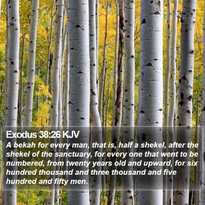 Exodus 38:26 KJV Bible Verse Image