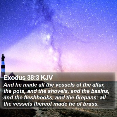 Exodus 38:3 KJV Bible Verse Image