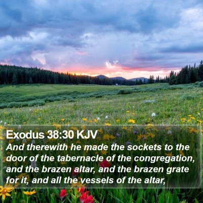 Exodus 38:30 KJV Bible Verse Image