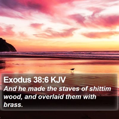 Exodus 38:6 KJV Bible Verse Image