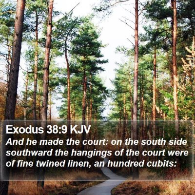 Exodus 38:9 KJV Bible Verse Image