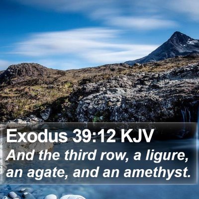 Exodus 39:12 KJV Bible Verse Image
