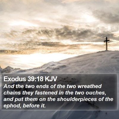 Exodus 39:18 KJV Bible Verse Image