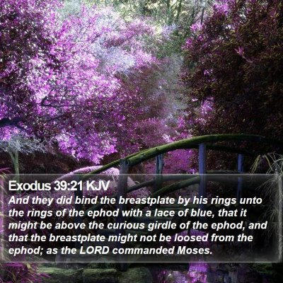 Exodus 39:21 KJV Bible Verse Image