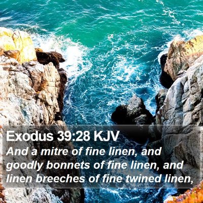 Exodus 39:28 KJV Bible Verse Image