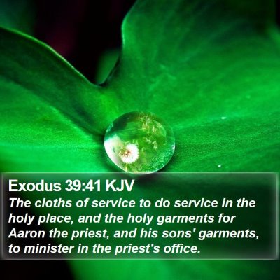 Exodus 39:41 KJV Bible Verse Image