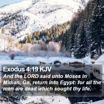 Exodus 4:19 KJV Bible Verse Image