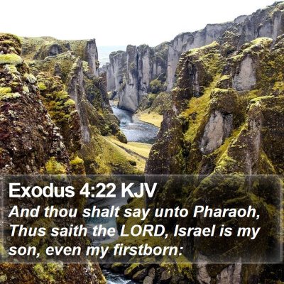 Exodus 4:22 KJV Bible Verse Image
