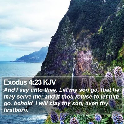 Exodus 4:23 KJV Bible Verse Image
