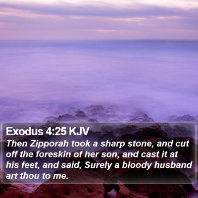 Exodus 4:25 KJV Bible Verse Image