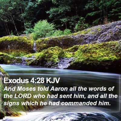 Exodus 4:28 KJV Bible Verse Image