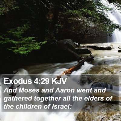 Exodus 4:29 KJV Bible Verse Image