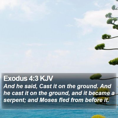 Exodus 4:3 KJV Bible Verse Image