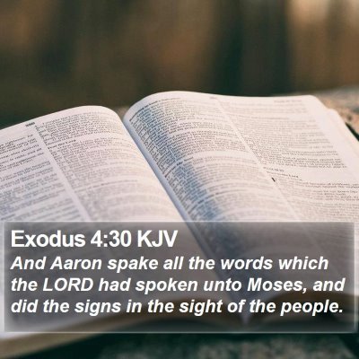 Exodus 4:30 KJV Bible Verse Image