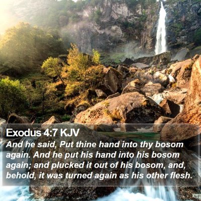 Exodus 4:7 KJV Bible Verse Image