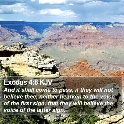Exodus 4:8 KJV Bible Verse Image