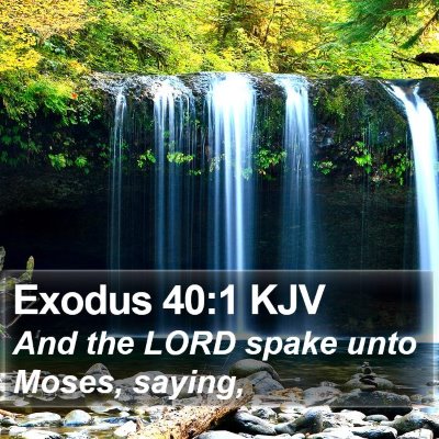 Exodus 40:1 KJV Bible Verse Image