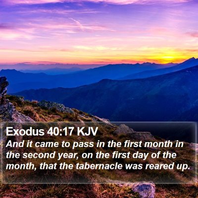 Exodus 40:17 KJV Bible Verse Image
