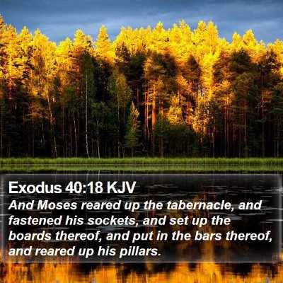 Exodus 40:18 KJV Bible Verse Image