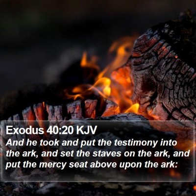 Exodus 40:20 KJV Bible Verse Image