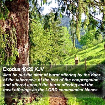Exodus 40:29 KJV Bible Verse Image