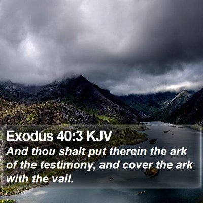 Exodus 40:3 KJV Bible Verse Image