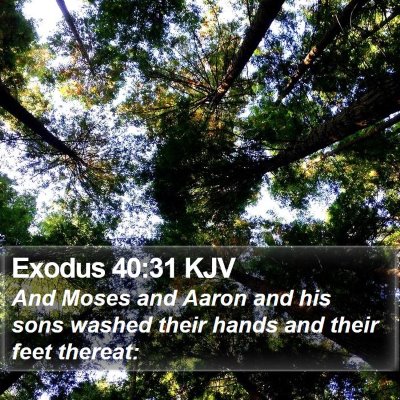 Exodus 40:31 KJV Bible Verse Image