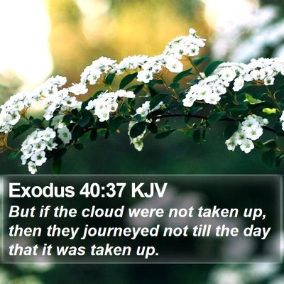 Exodus 40:37 KJV Bible Verse Image