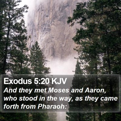 Exodus 5:20 KJV Bible Verse Image