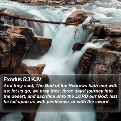 Exodus 5:3 KJV Bible Verse Image