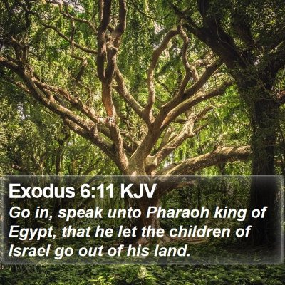 Exodus 6:11 KJV Bible Verse Image