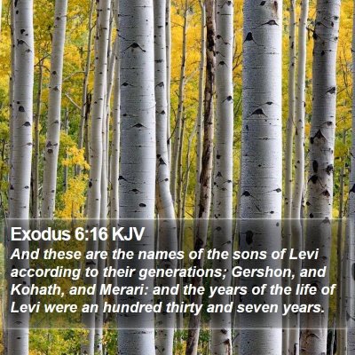 Exodus 6:16 KJV Bible Verse Image