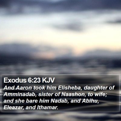 Exodus 6:23 KJV Bible Verse Image
